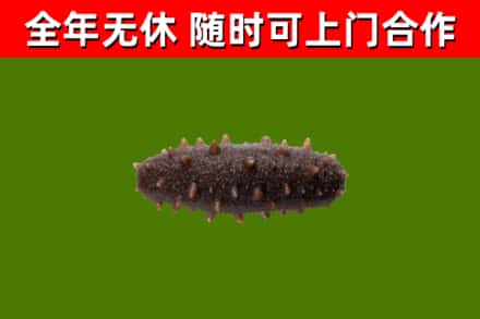 云县烟酒回收干海参.jpg